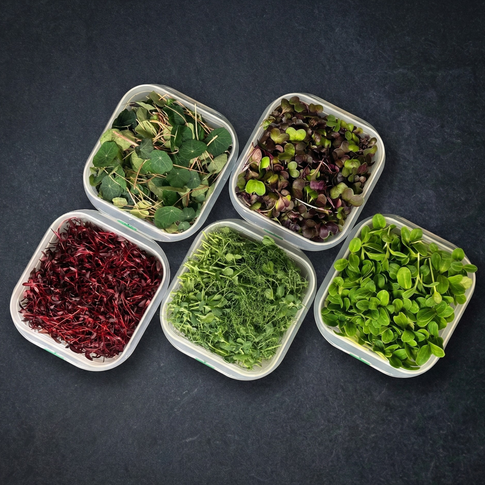 16+ Microgreen Supplements Verse en duurzame microgreens | Cressti